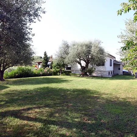 Modern Parenzana Izma *